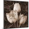 Sepia Tulip II-Christine Zalewski-Mounted Art Print