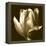 Sepia Tulip II-Renee W. Stramel-Framed Stretched Canvas
