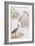 Sepia Water Birds II-Unknown-Framed Art Print