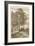 Sepia Wild Pine-Ernst Heyn-Framed Art Print