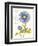 September Blue Aster-Ariane Sarah-Framed Art Print