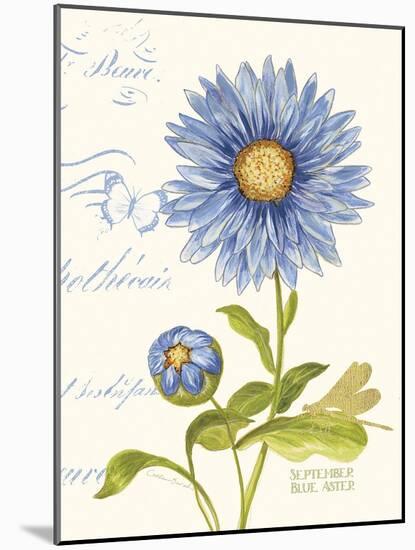 September Blue Aster-Ariane Sarah-Mounted Art Print