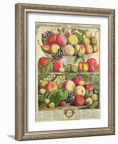 September, from "Twelve Months of Fruits", by Robert Furber, 1732-Pieter Casteels-Framed Giclee Print