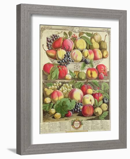 September, from "Twelve Months of Fruits", by Robert Furber, 1732-Pieter Casteels-Framed Giclee Print