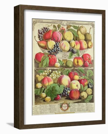 September, from "Twelve Months of Fruits", by Robert Furber, 1732-Pieter Casteels-Framed Giclee Print