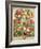 September, from "Twelve Months of Fruits", by Robert Furber, 1732-Pieter Casteels-Framed Giclee Print