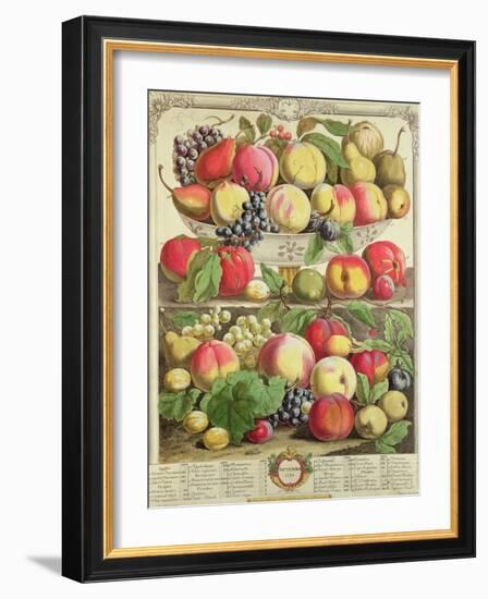 September, from "Twelve Months of Fruits", by Robert Furber, 1732-Pieter Casteels-Framed Giclee Print