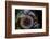 September Harvest-Valda Bailey-Framed Photographic Print