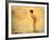 September Morn, 1912-Paul Chabas-Framed Giclee Print