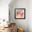 September Orange II-Irena Orlov-Framed Giclee Print displayed on a wall