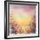 September Sunrise-Sandy Dooley-Framed Art Print