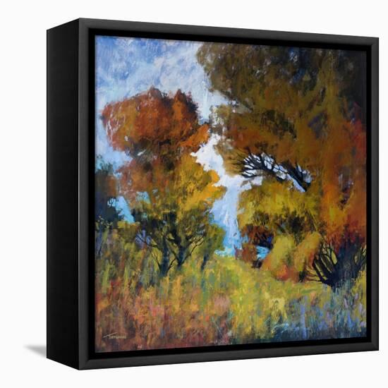 September Surprise I-Michael Tienhaara-Framed Stretched Canvas
