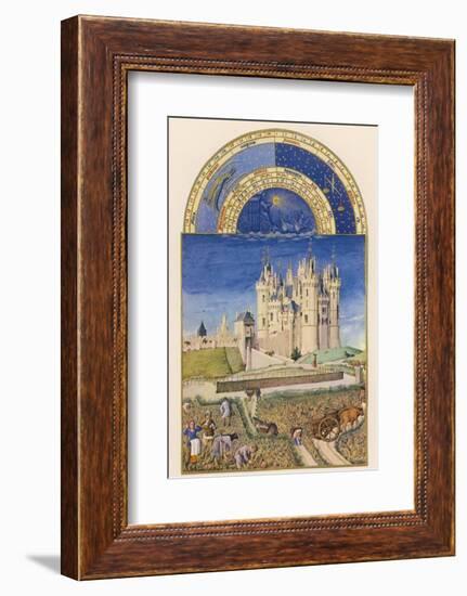 September the Wine Harvest Takes Place Close to the Chateau De Saumur-Pol De Limbourg-Framed Photographic Print