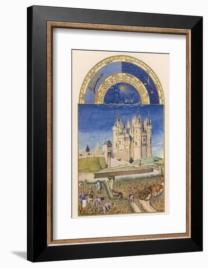 September the Wine Harvest Takes Place Close to the Chateau De Saumur-Pol De Limbourg-Framed Photographic Print