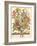 September-Robert Furber-Framed Art Print