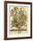 September-Robert Furber-Framed Giclee Print