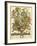 September-Robert Furber-Framed Giclee Print