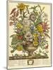 September-Robert Furber-Mounted Giclee Print