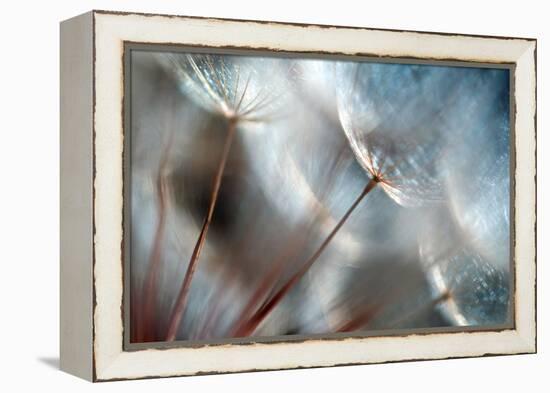 September-Ursula Abresch-Framed Premier Image Canvas