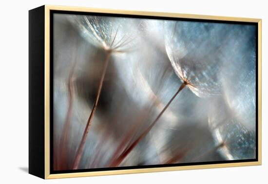September-Ursula Abresch-Framed Premier Image Canvas