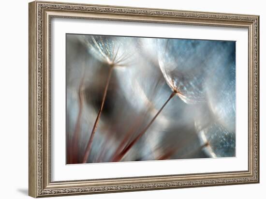 September-Ursula Abresch-Framed Premium Photographic Print