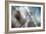 September-Ursula Abresch-Framed Premium Photographic Print