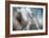 September-Ursula Abresch-Framed Premium Photographic Print