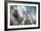 September-Ursula Abresch-Framed Premium Photographic Print