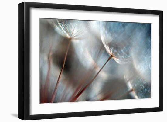 September-Ursula Abresch-Framed Premium Photographic Print