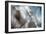 September-Ursula Abresch-Framed Premium Photographic Print