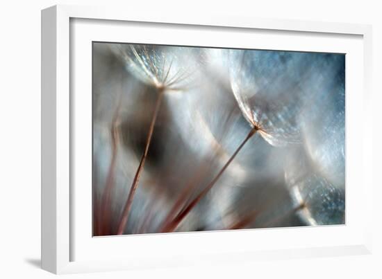 September-Ursula Abresch-Framed Premium Photographic Print