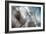 September-Ursula Abresch-Framed Premium Photographic Print