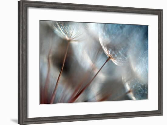 September-Ursula Abresch-Framed Premium Photographic Print