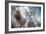 September-Ursula Abresch-Framed Photographic Print