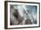 September-Ursula Abresch-Framed Photographic Print