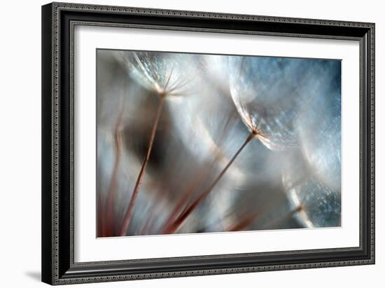 September-Ursula Abresch-Framed Photographic Print