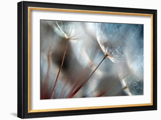 September-Ursula Abresch-Framed Photographic Print