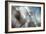 September-Ursula Abresch-Framed Photographic Print