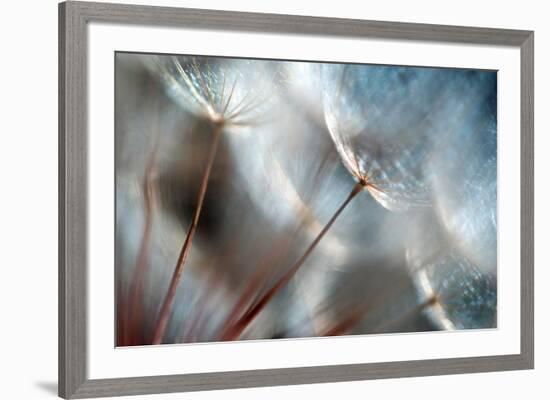 September-Ursula Abresch-Framed Photographic Print