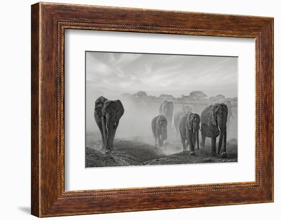 Sequence of Emotion-Mathilde Guillemot-Framed Photographic Print