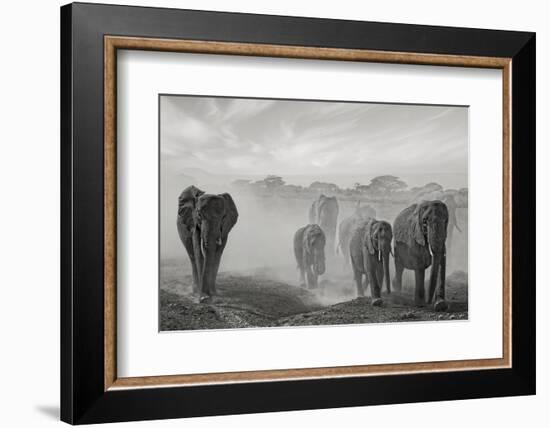 Sequence of Emotion-Mathilde Guillemot-Framed Photographic Print