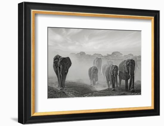 Sequence of Emotion-Mathilde Guillemot-Framed Photographic Print