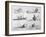 Sequence of Illustrations Showing the Sinking of the Titanic-null-Framed Art Print