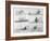 Sequence of Illustrations Showing the Sinking of the Titanic-null-Framed Art Print