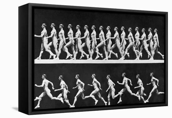 Sequential Frames of Nude Man Walking and Running-Eadweard Muybridge-Framed Premier Image Canvas