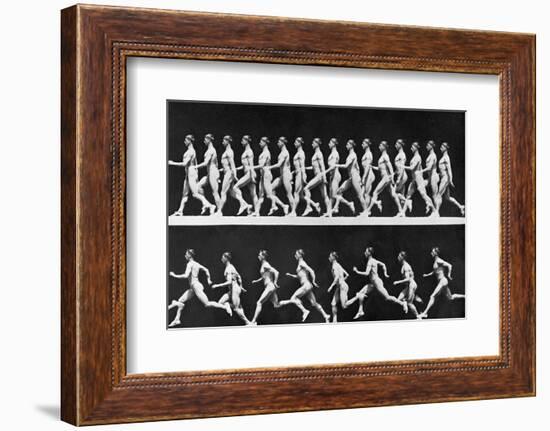 Sequential Frames of Nude Man Walking and Running-Eadweard Muybridge-Framed Photographic Print