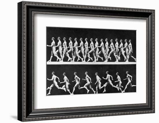 Sequential Frames of Nude Man Walking and Running-Eadweard Muybridge-Framed Photographic Print