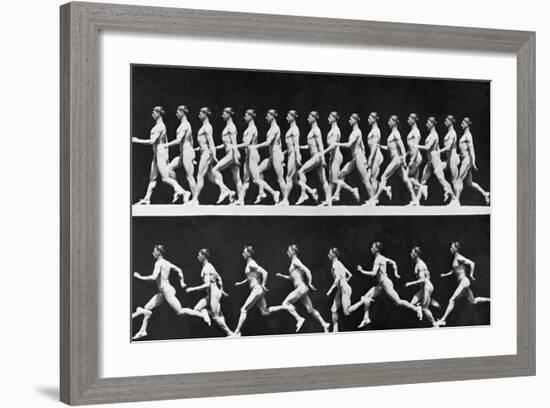 Sequential Frames of Nude Man Walking and Running-Eadweard Muybridge-Framed Photographic Print