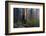 Sequoia and King's Canyon National Park, California-Marco Isler-Framed Photographic Print