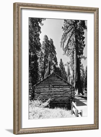 Sequoia - Mariposa Grove Museum - Yosemite National Park - Californie - United States-Philippe Hugonnard-Framed Photographic Print